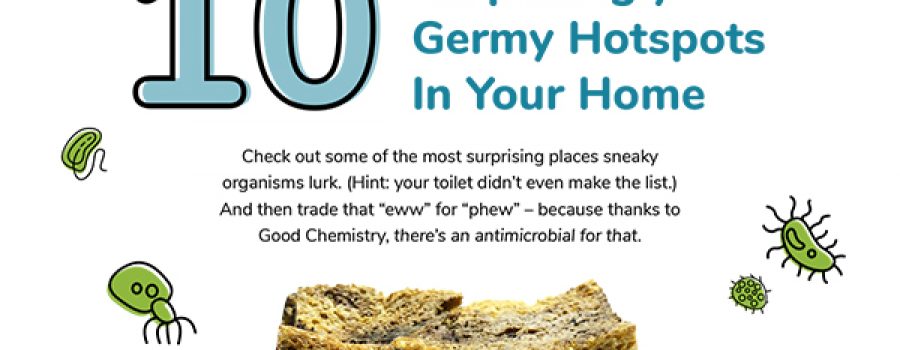 10 Surprisingly Germy Hotspots In Your Home